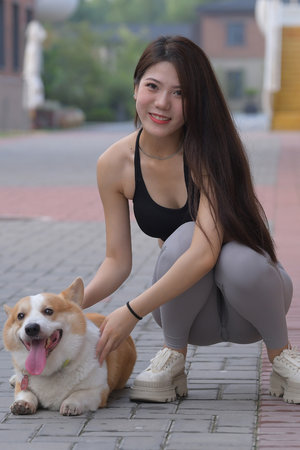 番号怎么用看视频