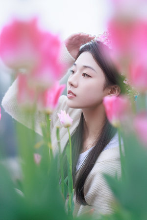 风雨送春归免费观看