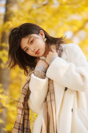 爱情公寓5全集免费观看电视剧超清