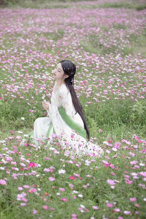 少年英雄之洪文定电视剧