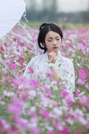 黑道学生5三分天下